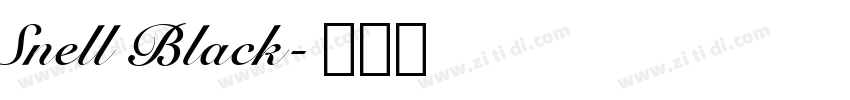 Snell Black字体转换